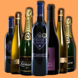 攻击网站在线工具